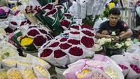 Kenaikan harga bunga mawar ini karena banyak diburu pembeli menjelang HUT Kemerdekaan RI.   