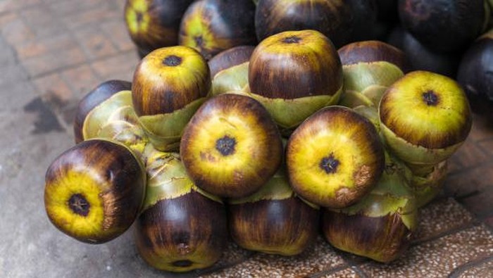 Borassus Flabellifer ( Asian palmyra palm fruit )