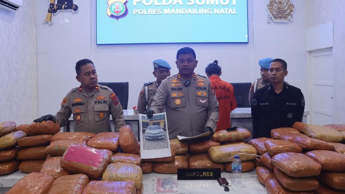 Konferensi pers penangkapan mobil bawa 154 Kg ganja di Mandailing Natal. (Dok Porles Madina)
