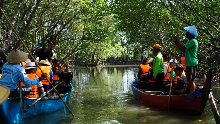 Potret Mangrove Edupark Semarang