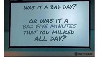 Kejadian tidak mengenakkannya cuma sebentar tapi bisa bikin jadi hari yang buruk! Foto: TheLostAlgorithm via Bored Panda