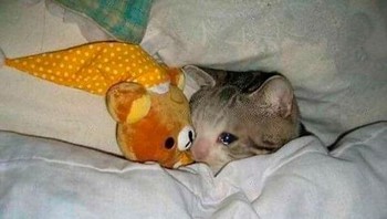 Dimarahin sekali. Awalnya biasa aja, eh lama-lama nggak bisa berhenti mikirin. Foto: smth-abt via Bored Panda