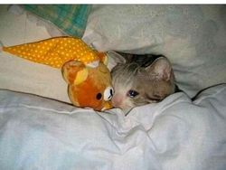 Meme yang Cuma Dimengerti Orang Overthinking, Ada Aja yang Dipikirin