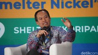 Oleh karena itu, sangat penting untuk industri pengolahan nikel ke depannya untuk dapat mengatur operasional agar tidak memberikan beban tambahan kepada lingkungan. Pemerintah pun bekerja sama dengan perusahaan-perusahaan melakukan transformasi energi. Vale sendiri mencoba mewujudkannya lewat implementasi teknologi hydrometallurgi. Selain itu, dalam 5 dekade lebih operasional perusahaan, Vale mengedepankan prinsip-prinsip pertambangan berkelanjutan atau green mining sebagai dasar utama. Hal ini diwujudkan Vale melalui sejumlah kegiatan, mulai dari praktek reklamasi hingga menjaga kelestarian Kawasan sekitar tambang.