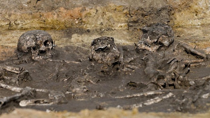 01 August 2024, Saxony-Anhalt, Löbejün: Grave site of a complete family with two adults and two children, discovered by archaeologists during the excavation of a 1000-year-old Slavic settlement with a complete burial ground. 60 burials were uncovered in two rows. The excavations are taking place on the future SuedOstLink direct current line. Photo: Heiko Rebsch/dpa (Photo by Heiko Rebsch/picture alliance via Getty Images)