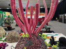 Pameran Ruang Immersive di Festival LIKE 2