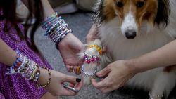 Konser Taylor di Austria Batal, Swifties Tetap Tukeran Gelang Konser Taylor di Austria Batal, Swifties Tetap Tukeran Gelang
