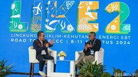 PT Freeport Indonesia (PTFI) memiliki program energi hijau melalui Estuari Structure. Program itu menangkap sedimentasi pasir hasil tambang diubah menjadi sebuah daratan di pesisir pantai.