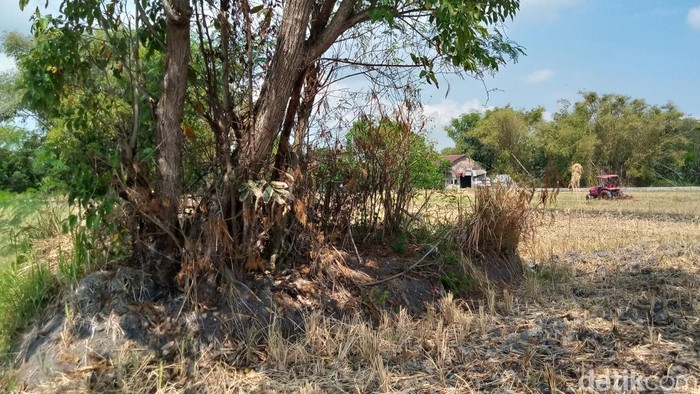 Gumuk Reco di Desa Puluhan, Kecamatan Trucuk, Klaten yang konon ada arcanya.