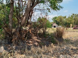 Misteri Gumuk Reco, Warga Klaten Tak Berani Mengusiknya
