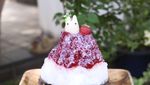 Lucu! Di Kafe Ini Ada Es Serut Segar Bentuk Karakter Ghibli