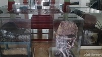 Bagian samping kiri atau ruangan Al Quran besar dibangun di sekitar tahun 1980 sekaligus merenovasi beberapa bagian utama dan untuk teras depan pada tahun-tahun 1990-an. Di atas kubah masjid juga kata Nur Alim terdapat emas total seberat tiga kilogram yang dibagi ke 99 bagaian menyesuaikan dengan asmaul husna.