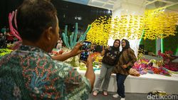 Melihat Pameran Instalasi Kehidupan Bawah Laut di Festival LIKE 2