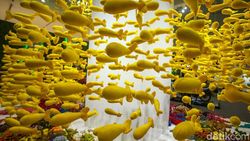 Melihat Pameran Instalasi Kehidupan Bawah Laut di Festival LIKE 2