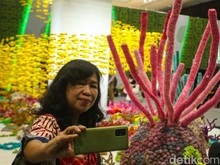 Melihat Pameran Instalasi Kehidupan Bawah Laut di Festival LIKE 2 Melihat Pameran Instalasi Kehidupan Bawah Laut di Festival LIKE 2