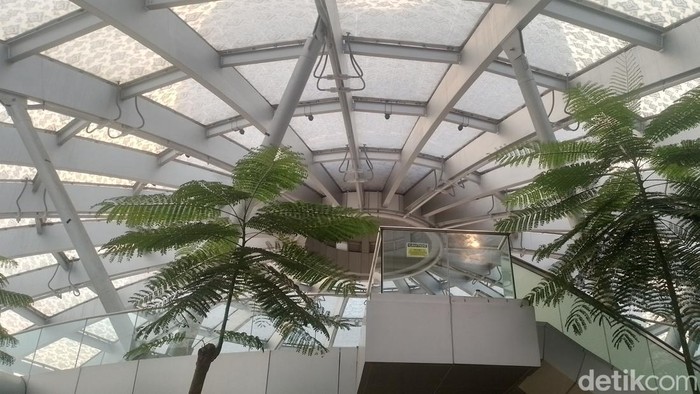 South Quarter Dome, Jaksel