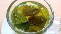 Ada satu teh tradisional yang populer di Amerika Selatan dengan nama Mate de coca. Teh ini terbuat dari seduhan daun coca yang dilarang di banyak negara karena berhubungan dengan kokain. Foto: TasteAtlas
