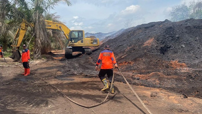 Tim gabungan melakukan pengecekan kebakaran stokpile batu bara PT BBI di Desa Sungai Gelam, Muaro Jambi