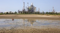Sawah terancam gagal panen akibat mengeringnya embung tersebut. 