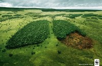 Ketika Brand Harus Kreatif Bikin Iklan, Ini Hasilnya