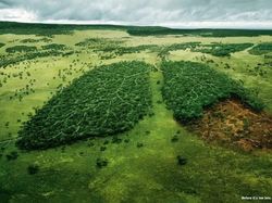 Ketika Brand Harus Kreatif Bikin Iklan, Ini Hasilnya