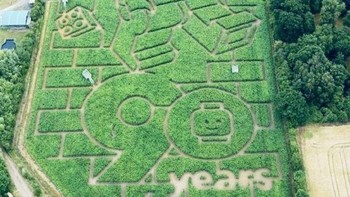 Iklan Lego raksasa di area taman. Foto: Boredpanda