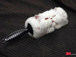 Ketika Brand Harus Kreatif Bikin Iklan, Ini Hasilnya