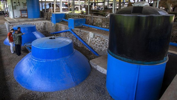 Limbah Kotoran Sapi Disulap Menjadi Energi Biogas