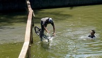 Tidak sedikit peserta harus terjebur ke sungai setelah gagal melintas di jembatan darurat itu.