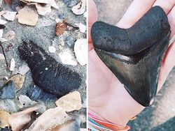 Kumpulan Orang Dapat Keberuntungan Tak Disangka