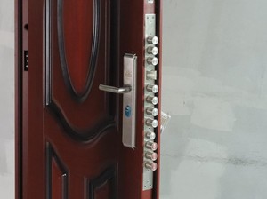 Mau Punya Pintu Kayu tapi Ogah Rayap, Bisa Nggak Ya?