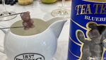 Lucu! White Tea Ini Bentuk Gummy Bear dengan Rasa Buah-buahan