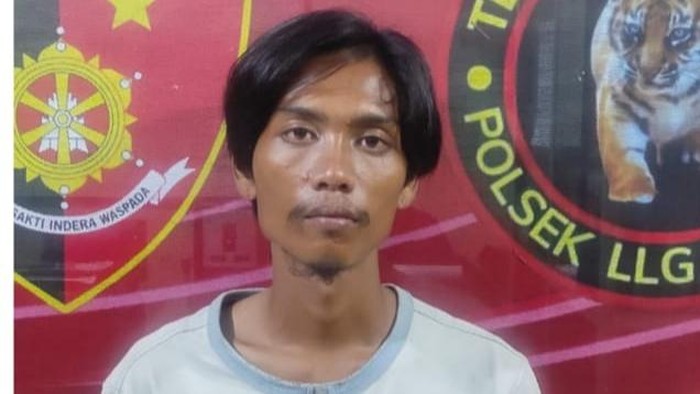 Zul Anggara (24) ditangkap polisi lantaran mencuri 2 hp menggunakan galah kayu di Lubuklinggau.