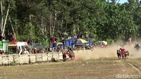 Sepasang sapi yang mencapai garis finish lebih dulu akan dinyatakan sebagai pemenangnya.