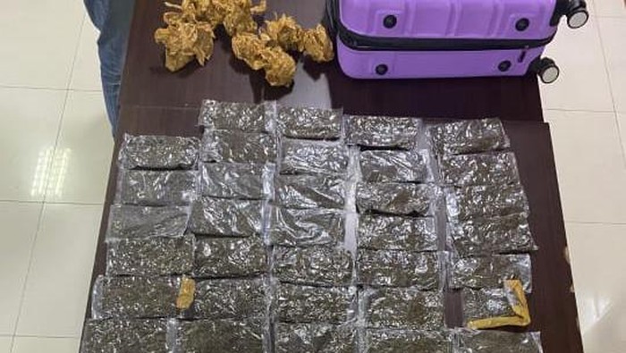 Barang bukti ganja yang diamankan polisi di Manokwari.