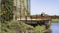 Cagar Alam Provinsi Ibere. Kawasan lindung terbesar di Argentina ini merupakan lokasi proyek penghijauan yang paling komprehensif di planet ini dan hasilnya jauh melampaui batas-batas cagar alam seluas 8.000 km persegi ini, kata TIME. (Foto: CNN)