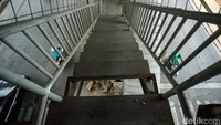 Diketahui di Jalan Raya Bekasi ini terdapat beberapa halte yang tak terurus, bahkan banyak besi - besinya hilang.
