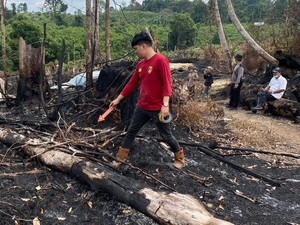 2 Hektare Hutan Konservasi di Tanjabbar Terbakar, 1 Pelaku Diamankan Polisi