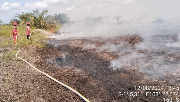 Kebakaran lahan di dekat pipa gas Petrochina Tanjabbar.