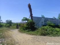 Bukan Cuma Rumah, Tanah Juga Bisa Disewakan! Begini Caranya