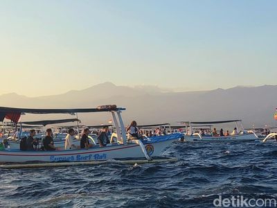 Foto: Serunya Mengejar Lumba-lumba di Bali Utara