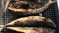 Kusaya adalah ikan scad yang difermentasi dan dikeringkan secara alami di bawah sinar matahari. Makanan khas Jepang ini setelah dipanggang memiliki aroma mencapai 1267 AU. Foto: SCMP