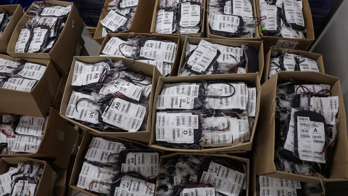 A laboratory technician works with donated blood at Magen David Adom's fortified underground blood services centre in Ramla, Israel, August 7, 2024. REUTERS/Ricardo Moraes