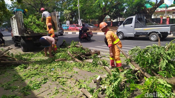 Petugas membersihkan pohon tumbang di depan pesantren IMMIM Makassar.