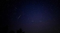 Kepala Meteoriod Environment NASA, Bill Cooke menyarankan empat hal untuk melihat hujan meteor Perseid secara optimal. Menurutnya, penonton tidak memerlukan instrumen seperti teleskop atau teropong, tetapi carilah langit yang paling gelap tanpa polusi cahaya. Apabila memungkinkan, berbaringlah telentang dan lihatlah lurus ke atas, nikmati langit sebanyak mungkin. Biarkan mata selama 30 hingga 45 menit untuk beradaptasi dengan kegelapan.  