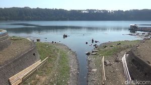 Air di Danau Ranu Pakis Lumajang Menyusut Saat Kemarau