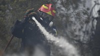 Kebakaran tersebut menyebar dengan cepat akibat angin kencang.  