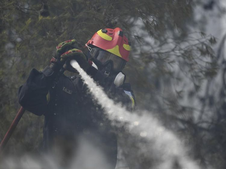 Aksi Damkar Berjibaku Padamkan Kebakaran Hutan di Yunani