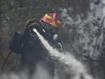 Aksi Damkar Berjibaku Padamkan Kebakaran Hutan di Yunani