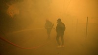 Diketahui, kebakaran hutan ini sudah mulai berkobar sejak hari sebelumnya di pinggiran Athena.  